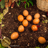 Huevo rojo de gallina orgánico (los camperos) (1 pza)